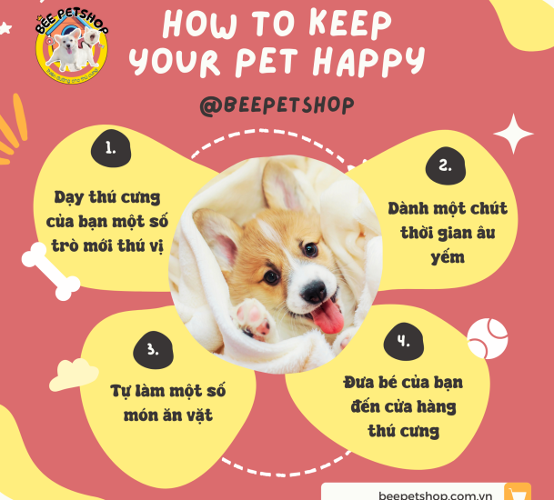 Trang chủ how-to-keep-your-pet-happy-1750914373.png