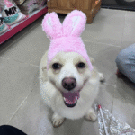 Trang chủ thiet ke chua co ten 73 1750915032